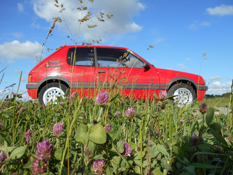 Illustration for article titled While photographing a car... (updated pictures)